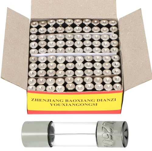 Fusibile 20 Ampere, fusibile in vetro 250 V, fusibile fine assortito, 5 x 20 mm, per diversi apparecchi di illuminazione e prodotti elettronici