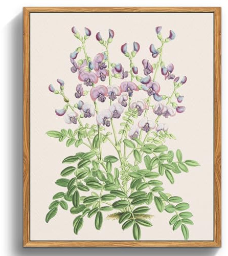MHARTK66 Vintage Flores Cuadros Decoracion Salon Naturaleza 20x25 cm | plantas, lienzo, impresión hd, fácil de colgar, instalación rápida, decoración clásica, uso versátil, adecuado como regalo