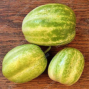 VISTARIC Giant Loofah Seed Towel Gourd Organic Vegetable Seeds, Home Garden Ornamental Plants Delicious Nutrient-Rich Food 5 Pcs