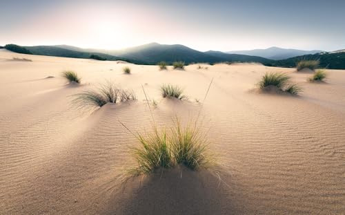 Sanders & Sanders fotomural playa color arena 450 x 280 cm