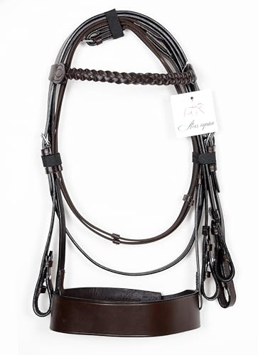 Aces Equine Hunter Trensenzaum mit 5,1 cm Nasenriemen und 2,5 cm beschichtetem Stirnband, Premium-Qualität, Braun (Mini Sheland)