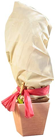 Windhager Velo invernale Superprotect, protezione dal freddo, protezione dal gelo per piante e alberi, vello di copertura, copertura di protezione invernale, 1,5 x 3 m, beige
