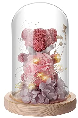IVEOPPE Ewige Rose Bär im Glas - mit LED Licht und Holzsockel, Geschenke für Frauen, Geburtstagsgeschenk für Frauen, Rosen Bär für Freundin Frau am Muttertag Geburtstag Valentinstag Jahrestag(Rosa)