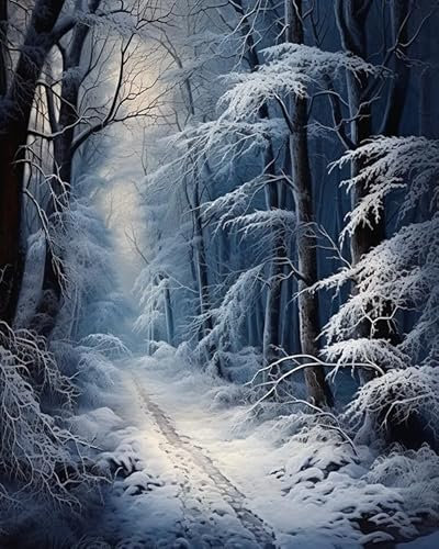 PIPISKY Malen nach Zahlen für Erwachsene – Winter Wald Schnee: Halbfertigprodukt, Anfänger, Acryl-Malen-nach-Zahlen-Leinwandbild als Geschenkdekoration, 40x50cm, Ohne Rahmen