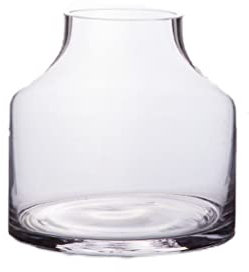 MYUYEE Vase en Verre Transparent à Gros Ventre Table de Salon hydroponique Petit Pot de Fleurs à Plumes Vertes et aneth ruisseau d'eau,