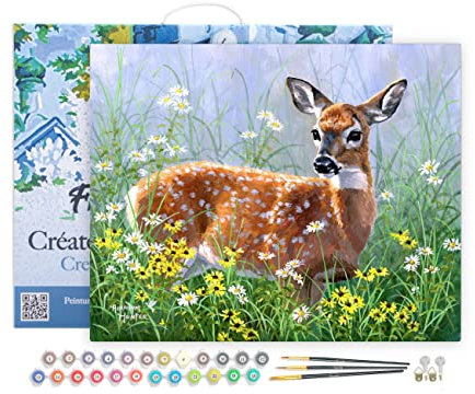 Figured'Art Peinture par Numéro Adulte avec Cadre Biche dans la prairie - Activité Manuelle Kit de Loisir Créatif DIY Numéro d'Art Complet - 40x50cm toile tendue sur châssis