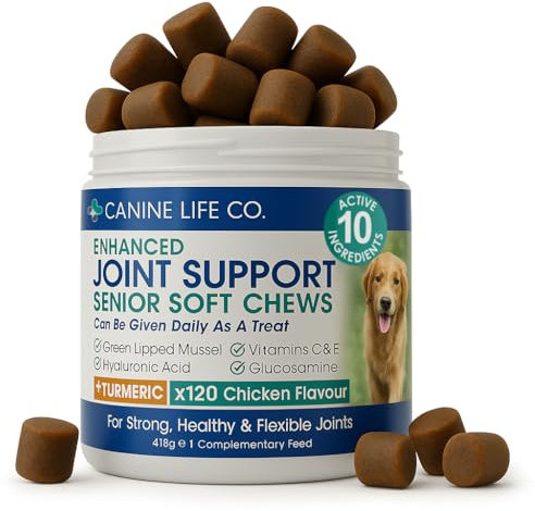 Canine Life Co. Senior Dog Joint Supplement – 10 Active Ingredients with Glucosamine, Green Lipped Mussel & Turmeric – High Strength Soft Chews for Dogs Aged 8+ – 120 Chicken-Flavoured Treats