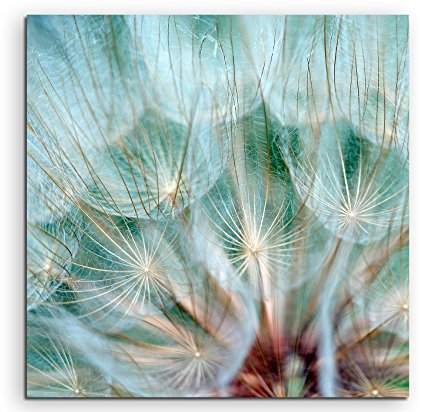 Sinus Art Wandbild 90x90cm Naturfotografie – Pusteblumen im Detail auf Leinwand für Wohnzimmer, Büro, Schlafzimmer, Ferienwohnung u.v.m. Gestochen scharf in Top Qualität