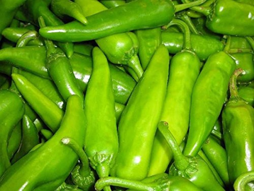 Lumbre HOT PepperHatch Double-X Hot - Super Extra Hot Chile(100 - Seeds)