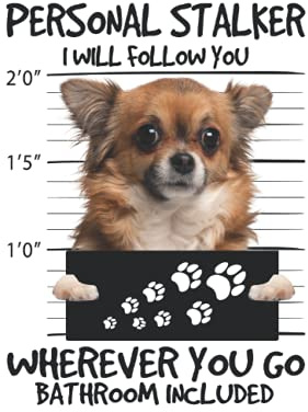 Chihuahua Kalender 2022: Kalender 2022 6x9 Zoll mit 129 Seiten | Chihuahua Kalender 2022