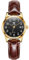 OLEVS Ladies Watch Analog Quartz Small Number Easy Read Dial Casual Brown Leather Strap Watches for Women