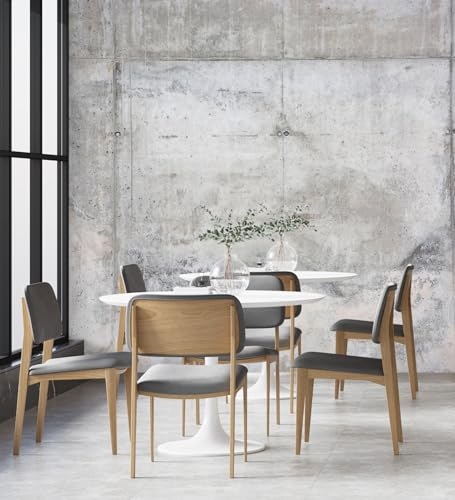 GAULAN 683199 Papier peint mural effet béton vieilli au rendu réaliste pour mur salon cuisine bain chambre couloir stanza salle à mange tête de lit hall - 2,55 m x 3,50 m
