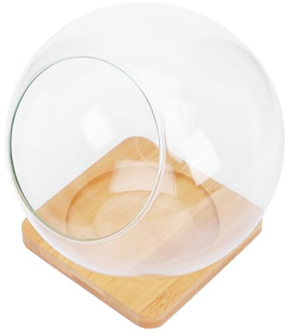 OSALADI Glass Succulent Vase with Tilted Round Glass Pot 13.5X13.5Cm and Bamboo Mat 10Cm, Moss DIY Micro Landscape Flowerpot for Home Storage and Plant Display