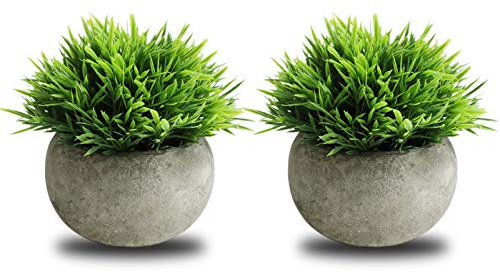 THE BLOOM TIMES 2 Pcs Small Fake Plants for Home Decor Indoor, Artificial Faux Potted Greenery for House Office Decorations