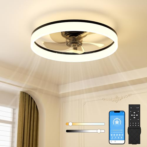 NIORSUN 60CM LED Ceiling Fan with Lights and Remote, Dimmable Low Profile Ceiling Fans, Flush Mount Ceiling Fan, Stepless Color Temperature Change and 6 Speeds（Black）