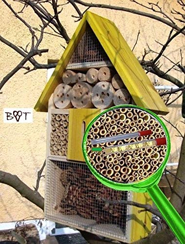 MEGA Ölbaum Insektenhotel Wildbienen-Haus LOTUS + 2 x Sichtglas + Marienkäferhaus + Schmetterlingshaus, hell gelb Insekten zitronengelb neon neongelb Nistkasten Vogelhaus Insektenhotel Wildbienen-Hau