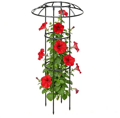 Treillis à Extérieur - Support Décoratif Vertical Antirouille Stable pour Grimpantes,Treillis à Sommet Champignon,pour Roses Vigne Concombres Hortensias Pothos Fruit