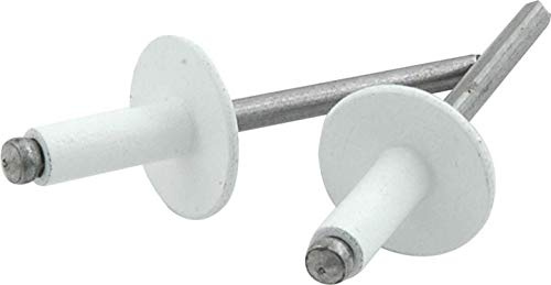 Allstar Performance Rivetti a Testa Larga in Alluminio, Bianco, Confezione da 250
