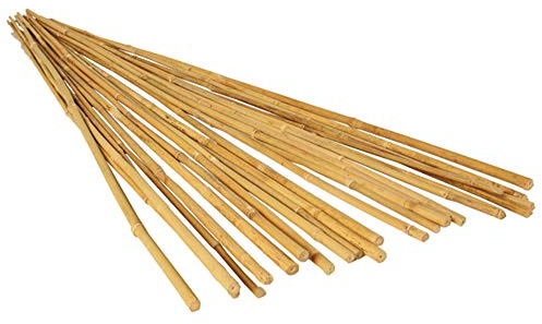 GROW!T Hydrofarm HGBB6 6' Natural, Pack of 25 Bamboo Stake, Tan
