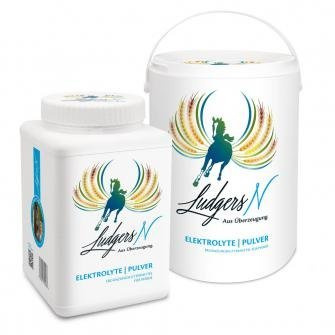 Ludgers N Elektrolyte Pulver 2 kg
