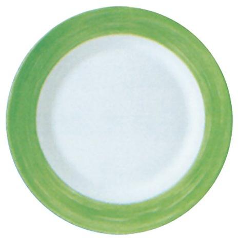 Arcoroc Restaurant Brush Green Teller flach 23,5cm, 6 Stück