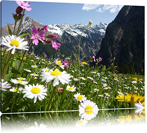 Pixxprint Wunderschöne Blumen Alpenwiese, Größe: 100x70cm, Leinwandbild, fertig gespannt, Wandbild, Dekoration, Kunstdruck, kein Poster