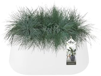 Elho Pure Cone Long Wheels 75 - Blumentopf - Weiss - Drinnen & Draußen - Ø 74 x H 35.8 cm | L 39.1 x B 74 x H 35.8 cm | für den Innen- und Außenbereich