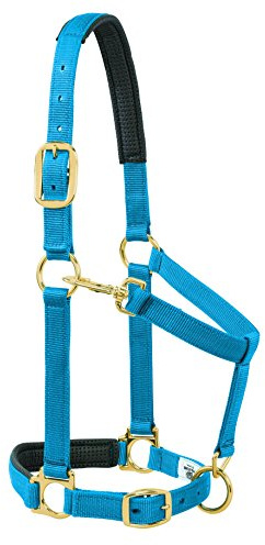 Weaver Leather Gepolstertes verstellbares Kinn- und Halfter mit Schnappverschluss, 2,5 cm großes Pferd oder 2-jährige Zugluft, Blau