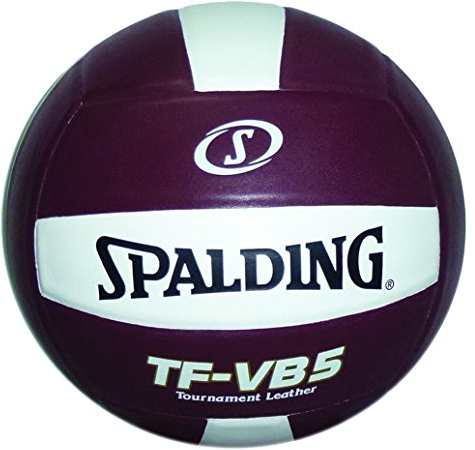 Spalding TF-VB5 Maroon/White
