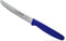 Giesser since 1776 - Made in Germany - Coltello per pomodori blu, lama di 11 cm, manico antiscivolo, piccolo coltello verdura lavabile in lavastoviglie, inossidabile