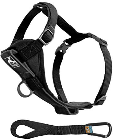 Kurgo 00026 Tru-Fit Smart Geschirr für Hunde mit Gurtanschluss, schwarz, XL