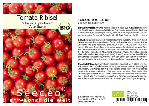 Tomate® Rote Ribisl (Lycopersicum esculentum Mill.) 20 Samen BIO