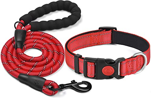 haapaw Reflekterande hundhalsband vadderat med mjuk neopren andningsbar justerbar hundhalsband i nylon för små medelstora hundar
