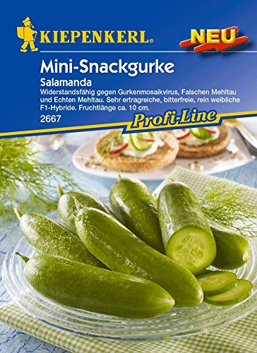 Gurkensamen - Salatgurke Salamanda von Kiepenkerl