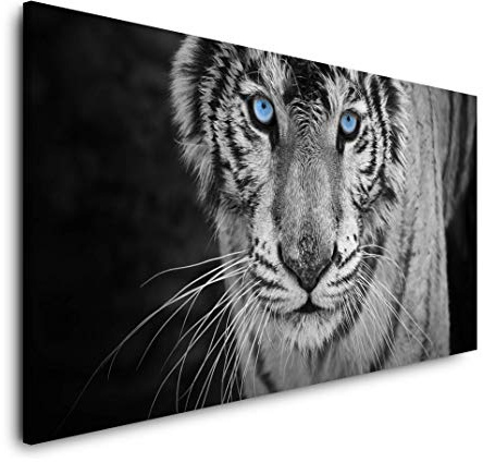 Weißer Tiger 120x 60cm Panorama Leinwand Bild XXL Format Wandbilder Wohnzimmer Wohnung Deko Kunstdrucke