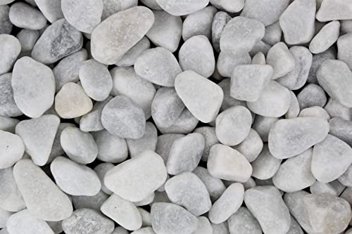 Gartenwelt Riegelsberger 5 kg Carrara Marmor Kies gewaschen Körnung 15-25 mm Marmorkies weiß schneeweisser Kieselsteine Zierkies Steine Deko Garten
