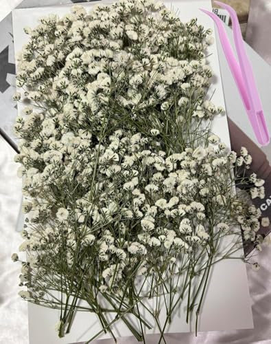 100PCS Dried Pressed Baby's Breath Flowers, Real Nature Dried Mini White Gypsophila Flowers for Resin Art Craft DIY Making Wedding Card Home Party Decor