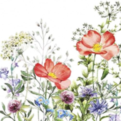 20 Servietten/Napkins Ostern - ca. 33 x 33 cm 3-lagig - Sommerwiese Mohn Kornblume Schafgarbe - Tisch-Deko Basteln Serviettentechnik