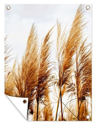 MuchoWow Poster exterieur Herbe de la pampa - Soleil - Herbe Decoration murale 90x120 cm Résistant aux intempéries/soleil