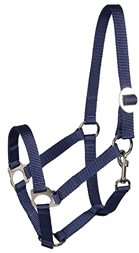 Pfiff 005543 Halfter, Weidehalfter Stallhalfter, Kunststoff Blau Cob Vollblut