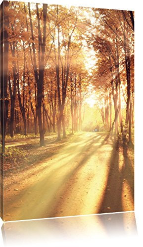 Pixxprint Baumallee im Herbst, Größe: 100x70cm, Leinwandbild, fertig gespannt, Wandbild, Dekoration, Kunstdruck, kein Poster