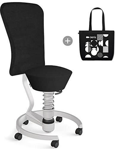 aeris Swopper – Hocker mit Lehne – Bürohocker höhenverstellbar – Schreibtischstuhl gegen Rückenschmerzen – Ergonomischer Bürostuhl und Sitztrainer, Feder Low