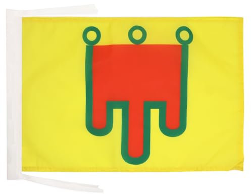 Drapeau Auvergne 45x30cm - PAVILLON auvergnat - Comté d'Auvergne 30 x 45 cm haute qualité - AZ FLAG