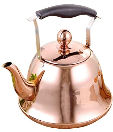 LeGDOr Stainless Steel Kettle Camping Coffee Mugs Portable Induction Cooktop Portable Stove Safe Sounding Water Kettle Whistling Water Kettle Boiling Water Kettle Water Heating Kettle Tea