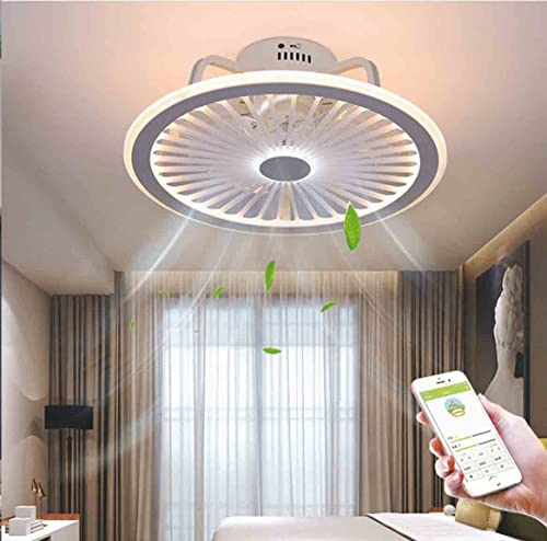 Ccarzzi Ceiling Fan with Lights, 48cm Modern Fan Light with 3 Dimmable Settings, 6 Speeds, APP & Remote Control, Ceiling Fan with Lamps - Quiet for Living Room | Bedroom | Shop Lighting