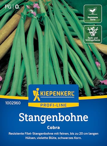 Kiepenkerl Stangenbohnensamen Cobra 1002960, Gemüsesaat | Gemüsesamen für resistente Filet- Stangenbohne mit bis zu 20 cm langen Hülsen, Wuchshöhe 200-300 cm, fadenlos