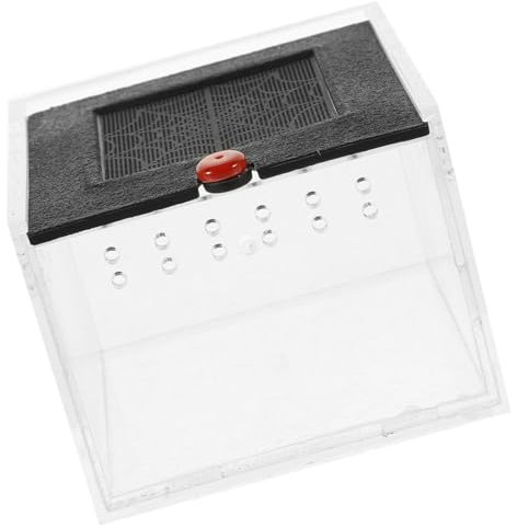 VILLFUL Terrarium Zubehör Reptilienbehälter Acryl Futterbox Haustiergehäuse Mit Belüftungslöchern Geeignet Für Eidechsen Spinnen Und Kleine Tiere