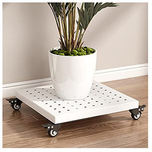 Robuster quadratischer Garten-Pflanzwagen mit rollenden Rädern, für drinnen und draußen, Pflanzenroller, quadratisch, 50 cm, Weiß