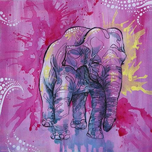 XCSQTYMY Malen nach Zahlen Bunter Elefant für Erwachsene DIY Ölgemälde-Set für Kinder Anfänger