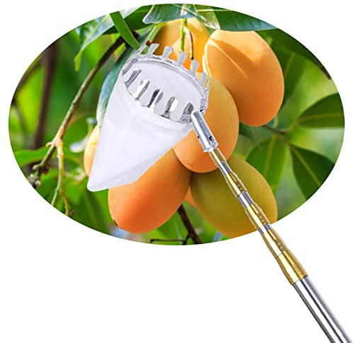 LekLai Obstpflücker, Obstpflücker, Mango-/Obstpflückerstange Mit Ausziehbarem Korb, Verbindungsstange Aus Edelstahl, Für Obstplantagen/4M(13Ft)